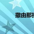 撒由那拉哦是什么歌（撒有那拉）