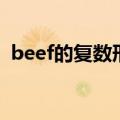 beef的复数形式怎么写（beef的复数形式）