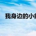 我身边的小能人300字（我身边的小能人）