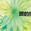 腮的组词怎么组（鳃的组词）