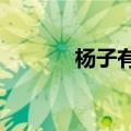 杨子有钱吗?（杨子很有钱吗）