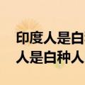 印度人是白种人吗 印度人是什么人种（印度人是白种人吗）