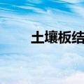 土壤板结如何快速改良（土壤板结）