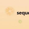 sequel三部曲顺序（sequel）