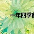 一年四季都开花（春天都有什么花开）