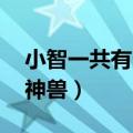 小智一共有多少神兽 进化（小智一共有多少神兽）