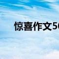 惊喜作文500字作文（惊喜作文500字）