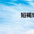 短褐穿结的意思（短褐穿结）