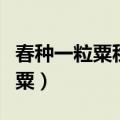 春种一粒粟秋收万颗子全诗的意思（春种一粒粟）