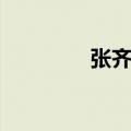 张齐贤明察翻译（张齐贤）