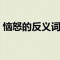 恼怒的反义词是什么词语呢（恼怒的反义词）