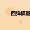 回弹模量与弯沉的区别（回弹模量）