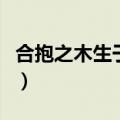 合抱之木生于毫末的拼音（合抱之木生于毫末）