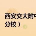 西安交大附中分校录取分数线（西安交大附中分校）