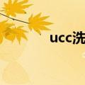ucc洗衣店价格表（ucc洗衣）