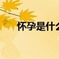 怀孕是什么感觉的（怀孕是什么感觉）