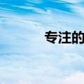 专注的近义词（关注的近义词）