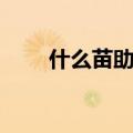 什么苗助长四字成语（什么苗助长）