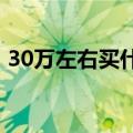 30万左右买什么车好（2万左右买什么车好）