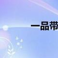 一品带刀小妹（一品带刀夫人）