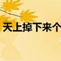 天上掉下来个猪八戒动画片（猪八戒动画片）