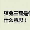 狡兔三窟是什么意思帮我查一下（狡兔三窟是什么意思）