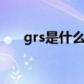 grs是什么车品牌（grt是什么牌子车）