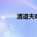 清道夫吃什么的（清道夫吃什么）