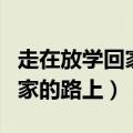 走在放学回家的路上阅读题答案（走在放学回家的路上）