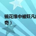 镜花缘中被贬凡间的十二花仙都有谁（十二花仙之镜花缘传奇）