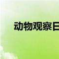 动物观察日记200字（观察日记200字）