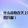 什么动物在天上四只脚在在在地上两只脚（什么动物在天上四只脚）
