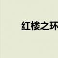 红楼之环绕九天（红楼之环绕君心）