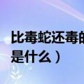比毒蛇还毒的人是什么电视（比毒龙更恶心是是什么）