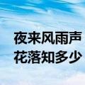 夜来风雨声 花落知多少的意思（夜来风雨声 花落知多少）