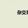杂交育种的过程（杂交育种）