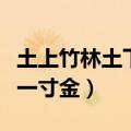 土上竹林土下一寸金猜字谜（土上有竹林土下一寸金）