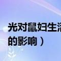 光对鼠妇生活的影响知识总结（光对鼠妇生活的影响）