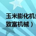 玉米膨化机多少钱一台 新型 小型（农村小型致富机械）