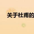 关于杜甫的诗还有哪些（关于杜甫的诗）