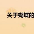 关于蝴蝶的资料介绍（关于蝴蝶的资料）