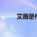 艾薇是什么学院的（艾薇是什么）