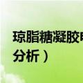 琼脂糖凝胶电泳原理ppt（琼脂糖凝胶电泳图分析）