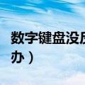 数字键盘没反应怎么办（数字键盘不能用怎么办）