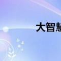 大智慧8.62（大智慧78合一）