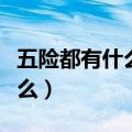 五险都有什么保险包括什么保险（五险都有什么）