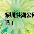 深圳洪湖公园好玩吗现在（深圳洪湖公园好玩吗）