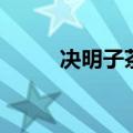 决明子茶怎么泡最好（决明子茶）