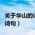 关于华山的诗句杜甫一览众山小（关于华山的诗句）