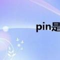 pin是什么网站（pin是什么）